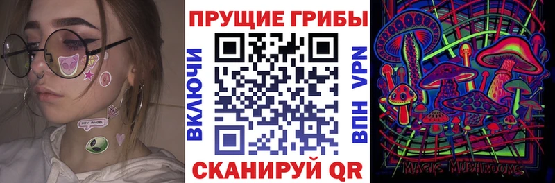 Псилоцибиновые грибы мицелий Куйбышев