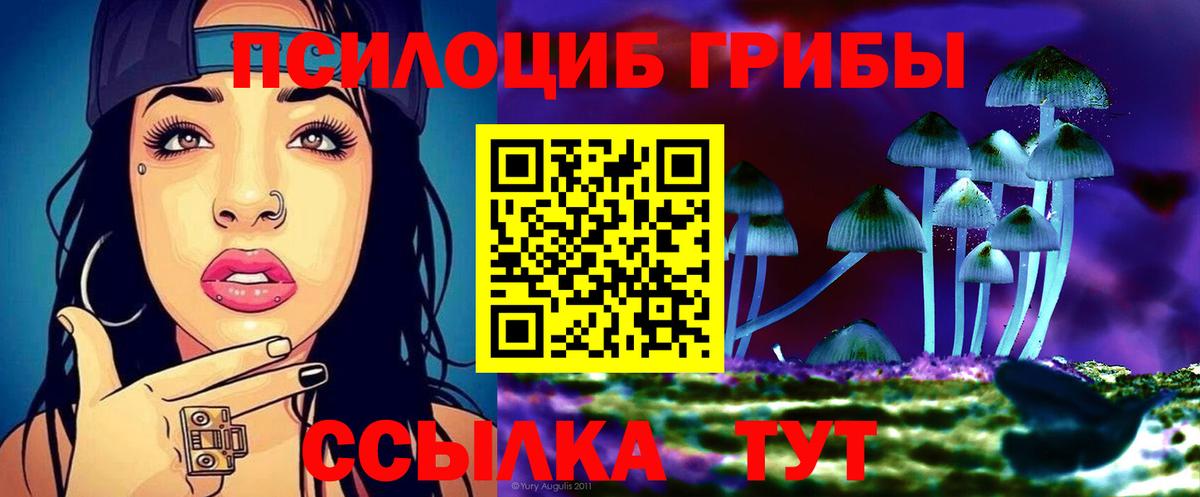 Галлюциногенные грибы ЛСД  Галлюциногенные грибы GOLDEN TEACHER  Куйбышев  Вход с VPN 