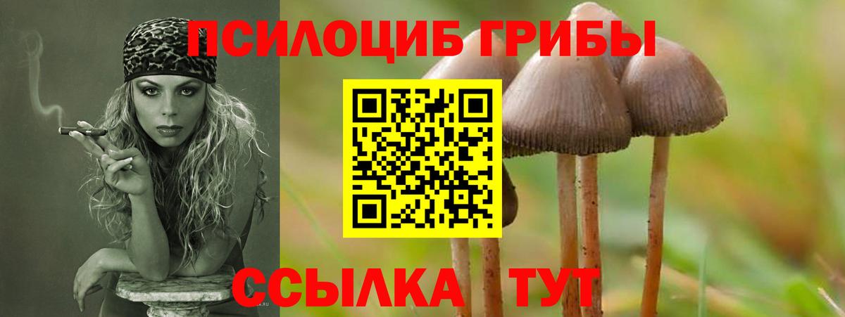 Галлюциногенные грибы Cubensis Куйбышев